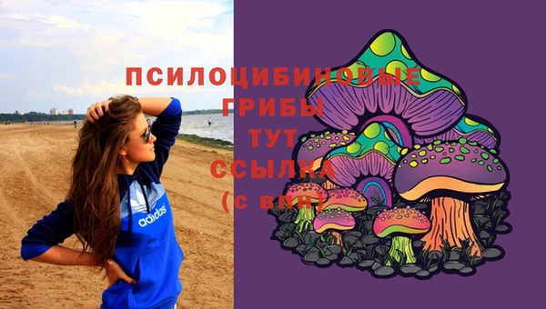 хмурый Волосово