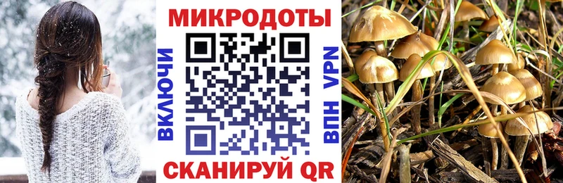 Галлюциногенные грибы MAGIC MUSHROOMS  что такое   Павловский Посад 